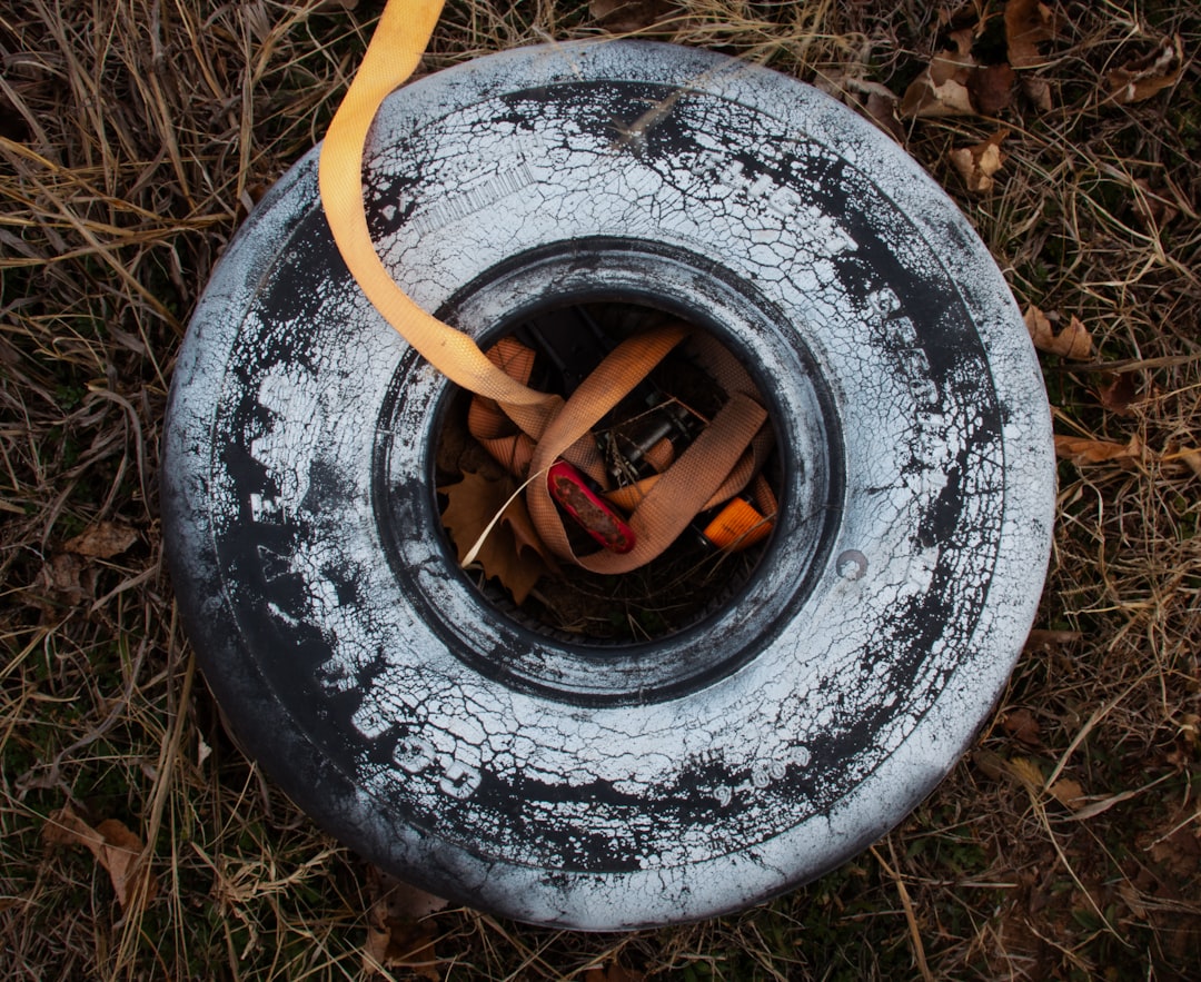 How to diagnose Charcoal Canister Failure: Signs and Typical Cost — OBD2 car scanner guide